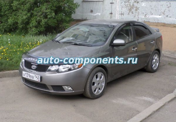 программа для диагностики kia rio